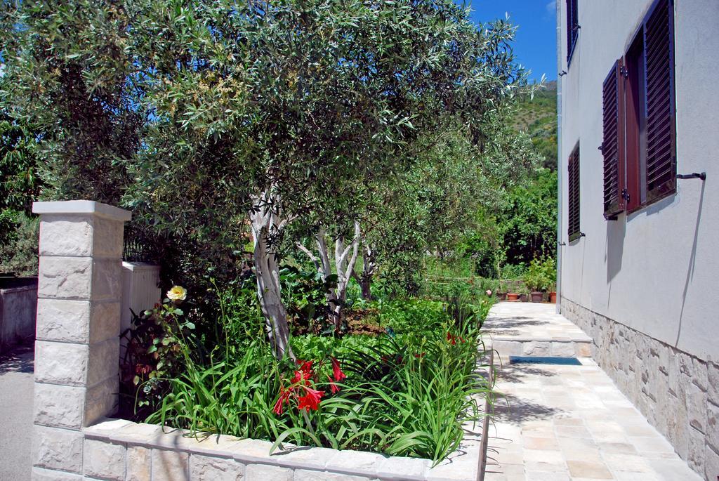 Apartments Iva Tivat Zimmer foto